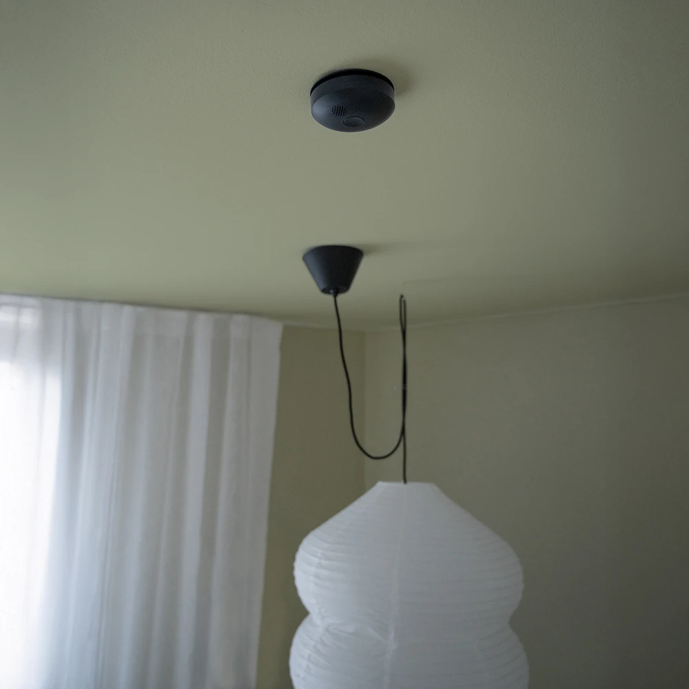 svart rbandvarnare i ett grönt tak